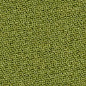 Chili_zoom_Verde CL25