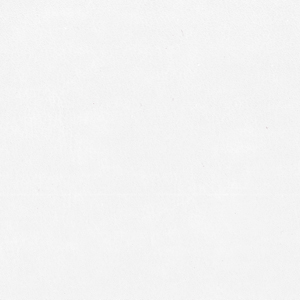 Extrema AU_zoom_Bianco EX15