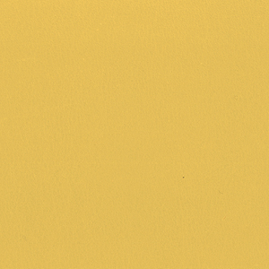 Extrema AU_zoom_Ocra EX08