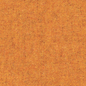 Fenice_zoom_Arancio FE07