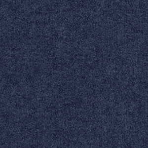 Fenice_zoom_Blu scuro FE03