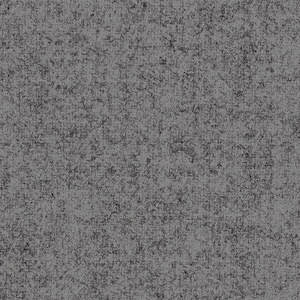 Fenice_zoom_Grigio FE24