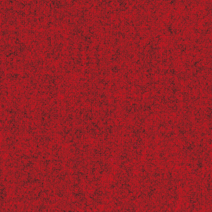 Fenice_zoom_Rosso FE22