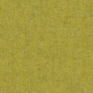 Fenice_zoom_Verde FE05