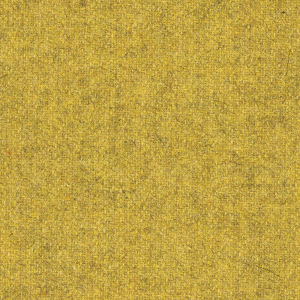 Fenice_zoom_Verde chiaro FE25