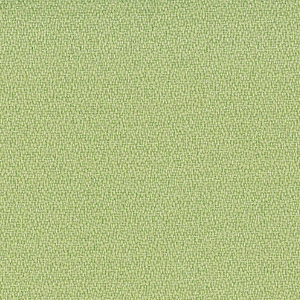 Mirage_zoom_Verde chiaro MG25