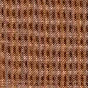 Morph_zoom_Arancio MO07