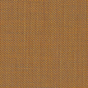 Morph_zoom_Giallo MO08