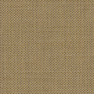 Morph_zoom_Nocciola MO06