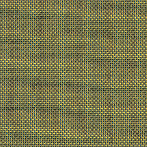 Morph_zoom_Verde MO05