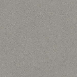 Pelle Anilina_zoom_Grigio PA04