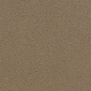 Pelle Anilina_zoom_Tabacco PA06