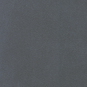 Pelle Anilina_zoom_Nero PA01