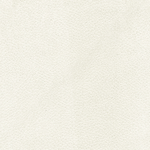 Pelle fiore_zoom_Beige PF09