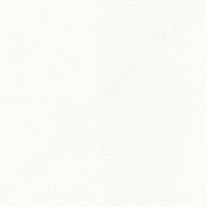 Pelle fiore_zoom_Bianco PF15