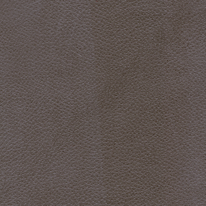 Pelle fiore_zoom_Grigio scuro PF04