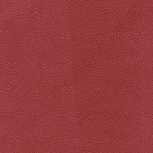Pelle fiore_zoom_Rosso PF02
