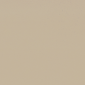 Secret_zoom_Beige SC09