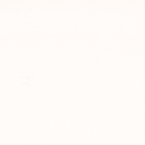 Secret_zoom_Bianco SC15