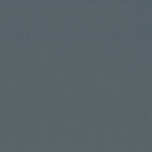 Secret_zoom_Blu SC03