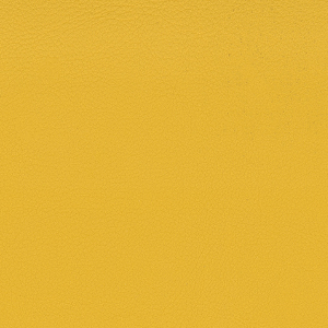 Secret_zoom_Ocra SC08
