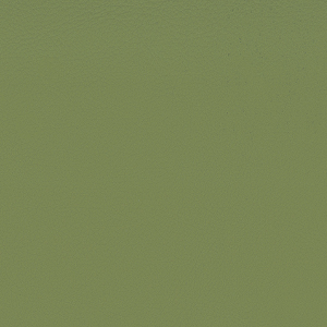 Secret_zoom_Verde SC05