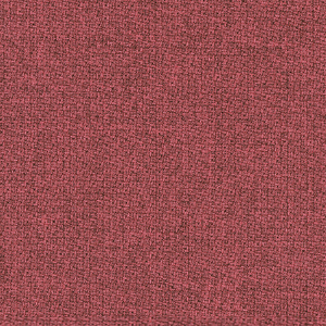 Step Melange_zoom_Salmone ST10