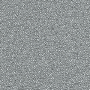 Teddy_zoom_Grigio chiaro TY04