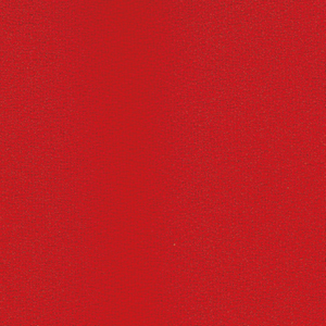 Teddy_zoom_Rosso TY02