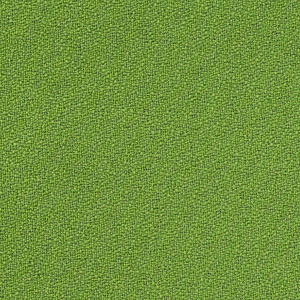 Teddy_zoom_Verde TY05