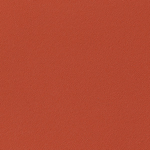 Metallo_zoom_Rosso-Clio